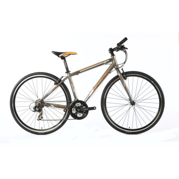 Vélo de Ville Vélo de Ville (FP-MTB-C702)